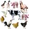 ASF 능률 병에 걸리는 돼지 닭 폐기물 재생 공장 무해한 처리 높이